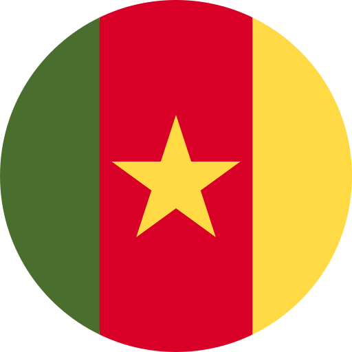 Flag of Cameroon